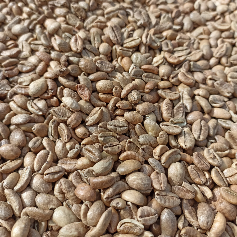 Liberica vs Arabica vs Robusta: An Honest Comparison