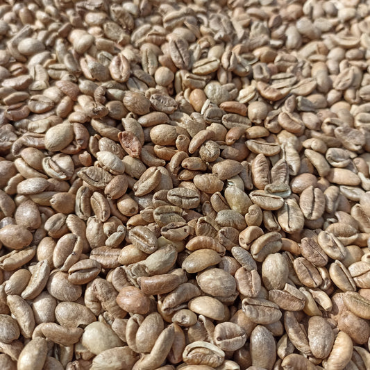 Liberica vs Arabica vs Robusta: An Honest Comparison