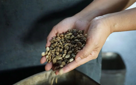 The Truth About Malaysian Coffee Imports — Where Your Cup Actually Comes From